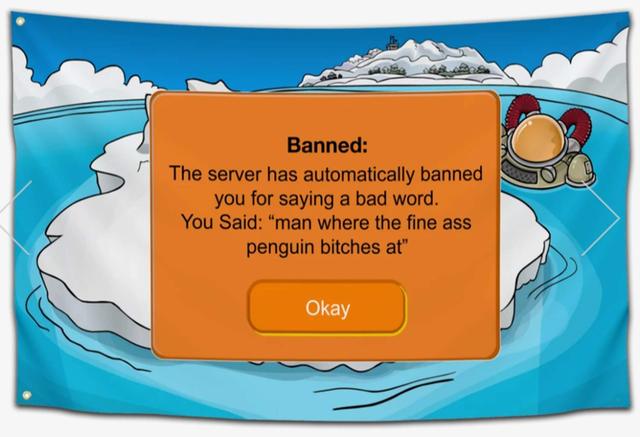 Club Penguin Banned Flag